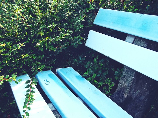 曾引起争议，西安国际足球中心草坪已重新铺设，明年3月达标